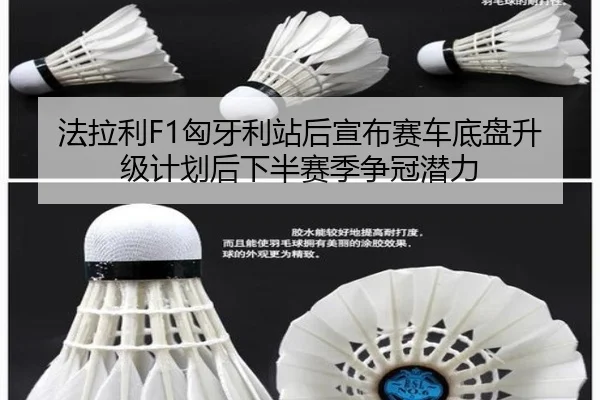 fa-la-li-xiong-ya-li-zhan-hou-xuan-bu-sai-che-di-pan-sheng-ji-ji-hua-hou-xia-ban-sai-ji-zheng-guan-qian-li-3-769.jpg